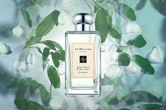 Wood Sage & Sea Salt