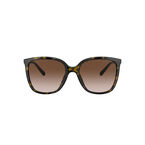 ANAHEIM - 0MK2137U - Brown Gradient