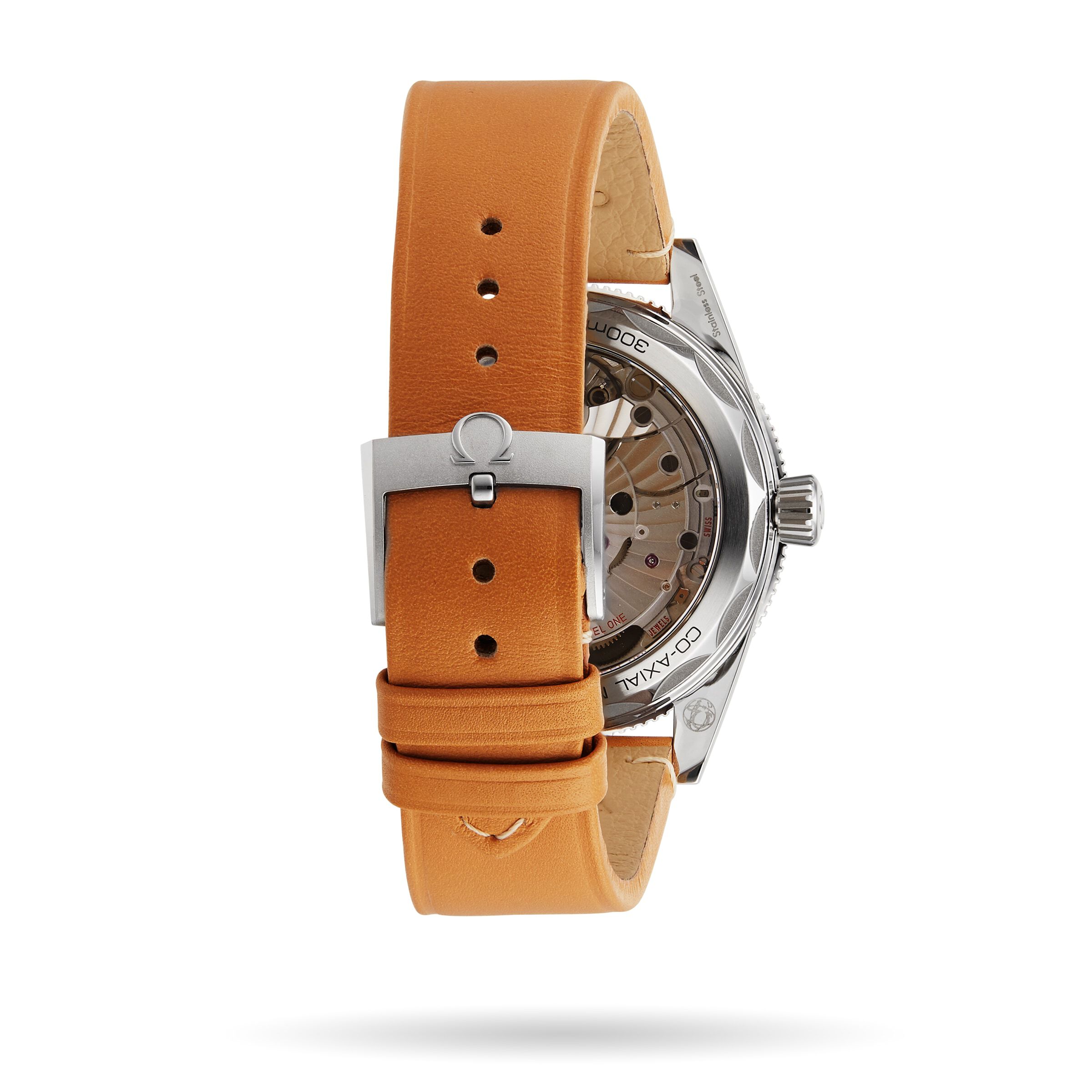 Omega Seamaster 300 Co Axial Master Chronometer 41mm Mens Watch