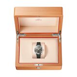 Seamaster Aqua Terra 150M 38mm, Steel on Rubber Strap, , hi-res