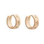 Lynx Chunky Hoop Earrings  - Gold