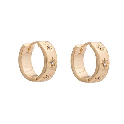 Lynx Chunky Hoop Earrings  - Gold