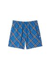 Check Swim Shorts