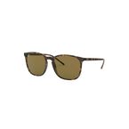 0RB4387 - Havana Dark Brown