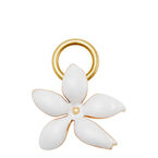 Makeup Charm Jasmine 
