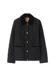 Quilted Nylon Jacket, , hi-res