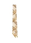 Skinny Reversible Check Silk Scarf
