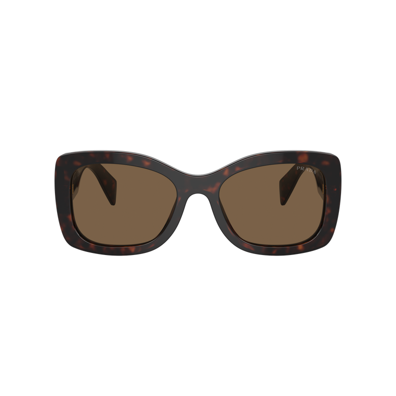 0PR A08S  - Briar Tortoise, , hi-res