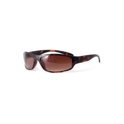 Hornet Sunglasses Tortoise
