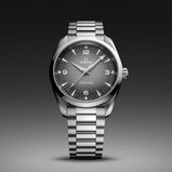 Seamaster Railmaster 38mm Mens Watch Grey, , hi-res