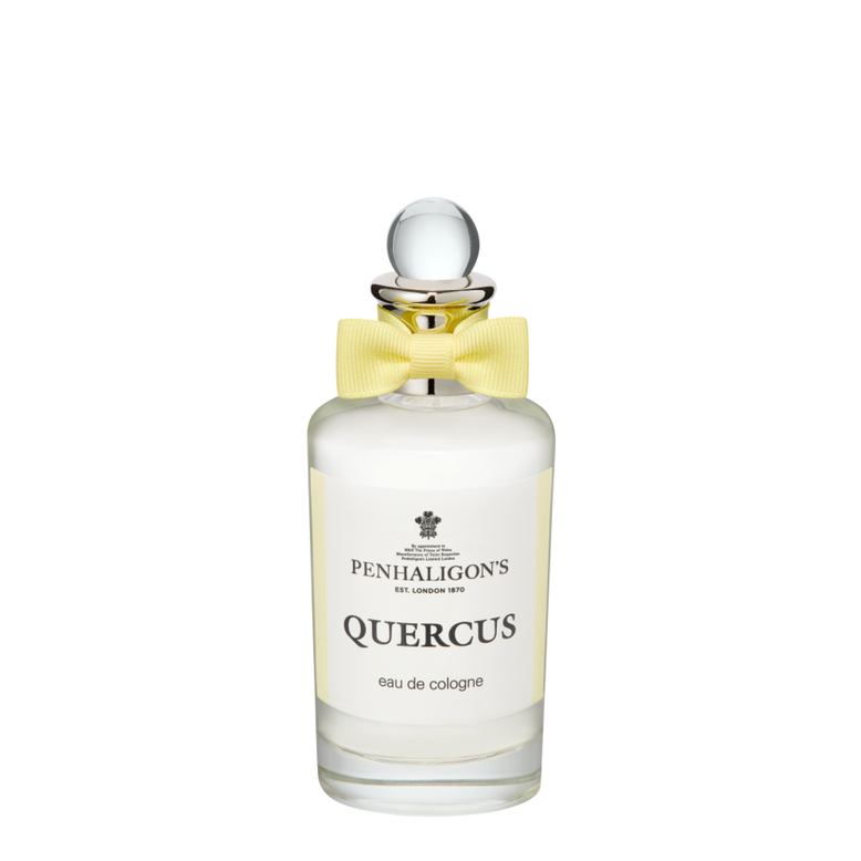Quercus, , hi-res
