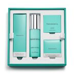 Tiffany Leather Care Kit with Cloth and Spray