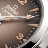 Seamaster Railmaster 38mm Mens Watch Brown, , hi-res