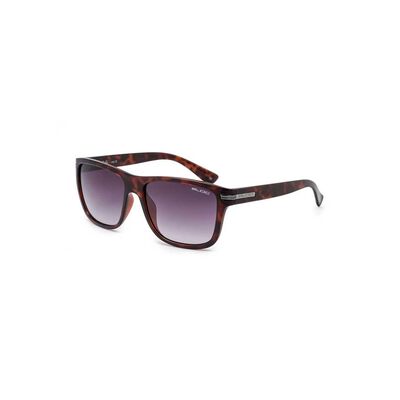 Tide Havana Tort Sunglasses XT620