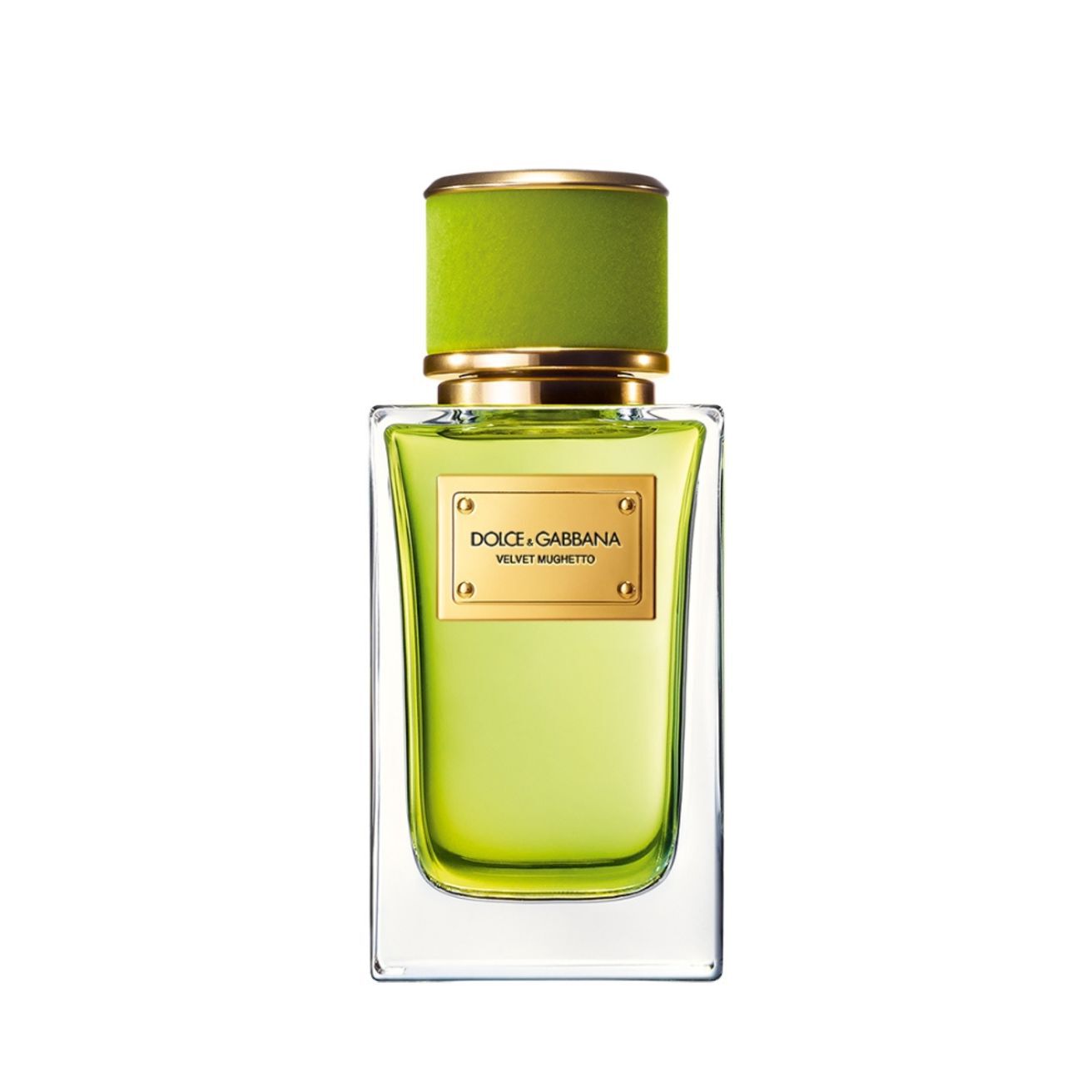 Dolce and gabbana velvet cypress sales