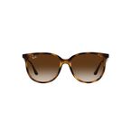 0RB4378 - Havana-Gradient Brown