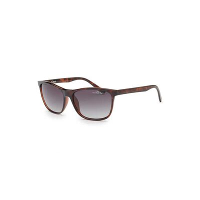 Coast Sunglasses F606