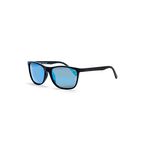 Coast Sunglasses F602