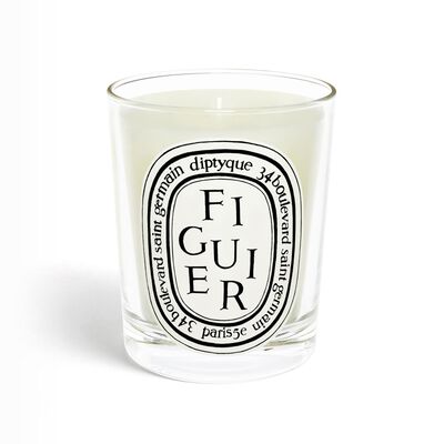 Candle Figuier 