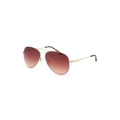 Darwin Gold and Brown Sunglasses F923
