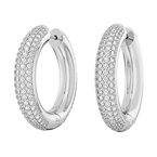 Dextera Hoops