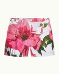 Bulldog Paeonia Pink Lemonade