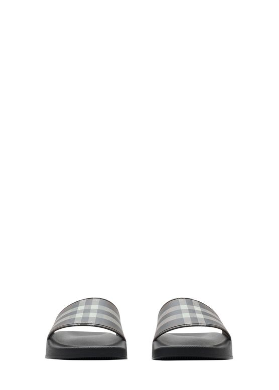 Check Slides, , hi-res
