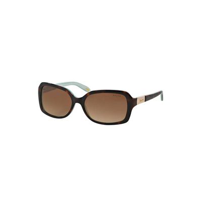 Sunglasses 5130 Dk Tortoise Brown Gradient