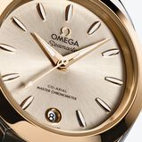 Seamaster Aqua Terra 150M 30mm Ladies Watch Silver, , hi-res