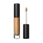 Skin Fetish: Sublime Perfection Concealer - Medium 19