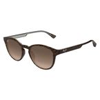 Sunglasses 636 Havana Bronze Dl Gradient