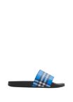 Check Slides