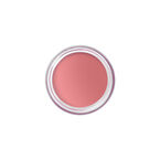 Pot Rouge Velvet Matte  - Tea Rose ​