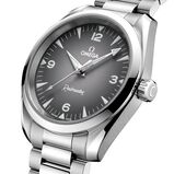 Seamaster Railmaster 38mm Mens Watch Grey, , hi-res