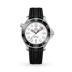 Seamaster 300m 42mm Mens Watch