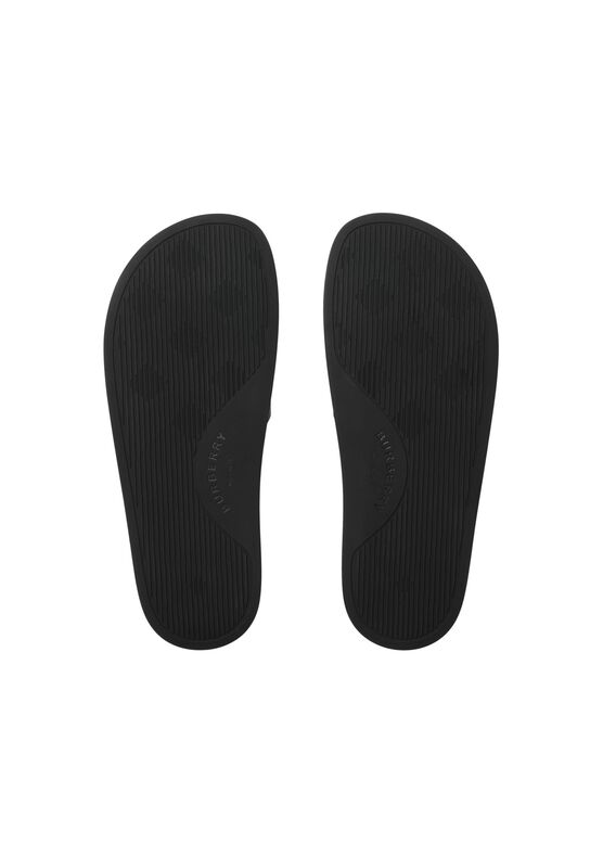Check Slides, , hi-res