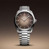 Seamaster Railmaster 38mm Mens Watch Brown, , hi-res
