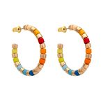 Retro Coloured Hoop Earrings  
