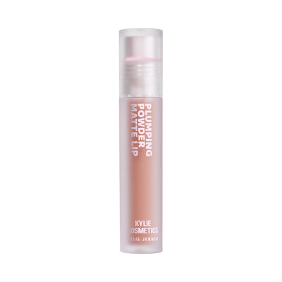 Plumping Powder Matte Lip - 739 Special Energy,