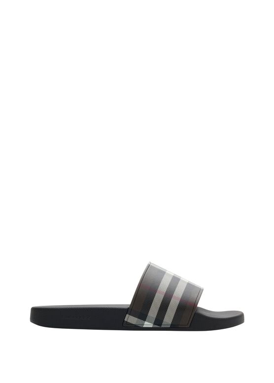 Check Slides, , hi-res