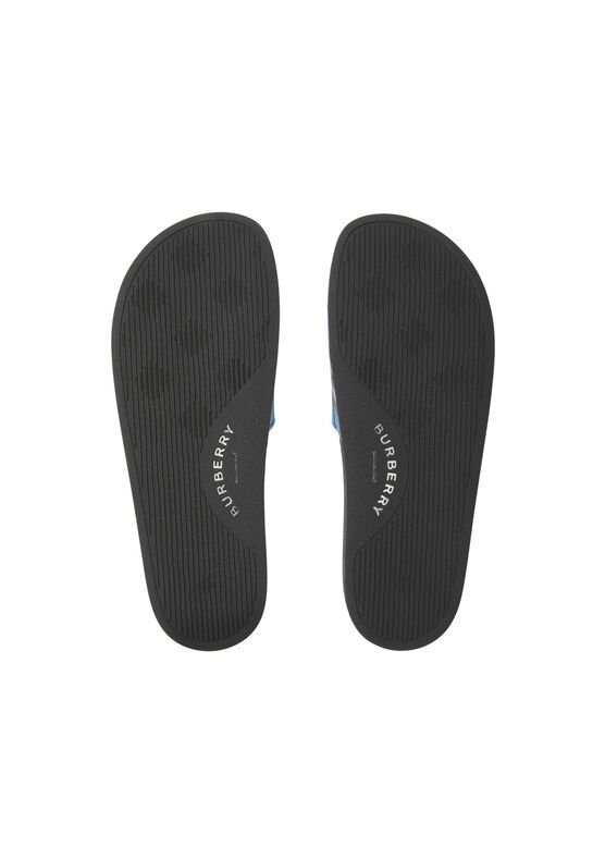 Check Slides, , hi-res
