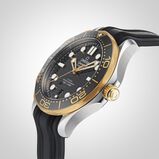 Seamaster Diver 300M Co-Axial 42mm Mens Watch, , hi-res