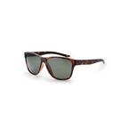 Cruise Tortishell Sunglasses F802