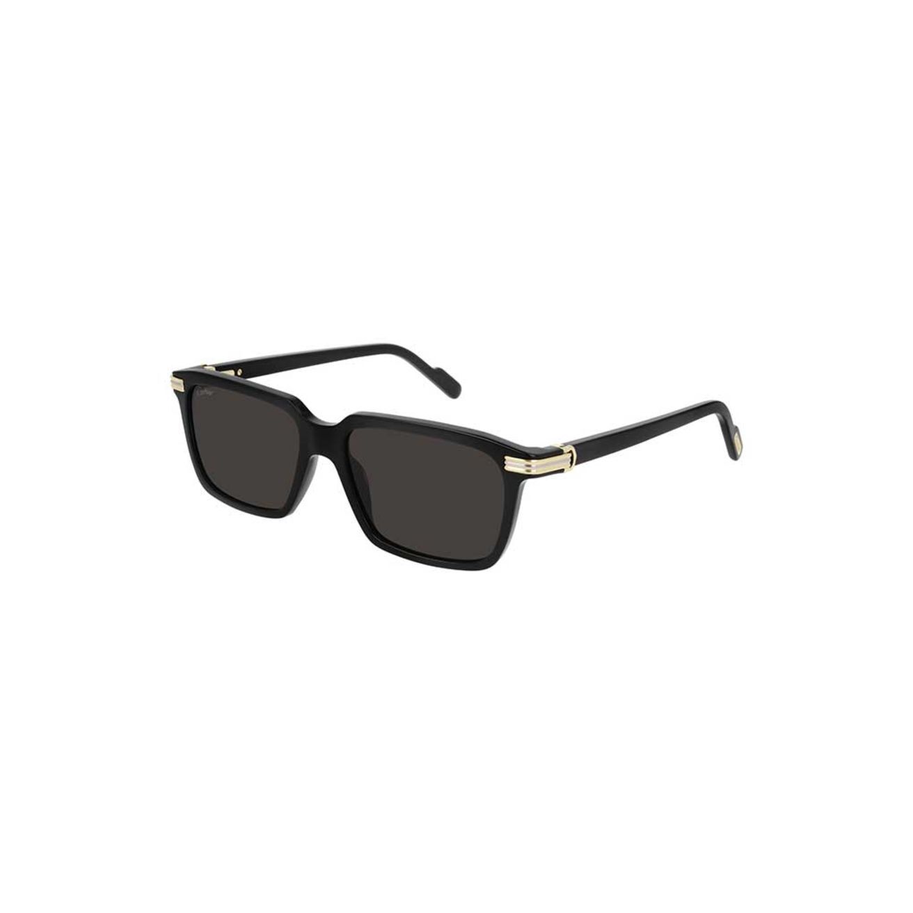 CT0220S Black Black Grey