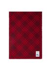 Wide Check Wool Silk Scarf