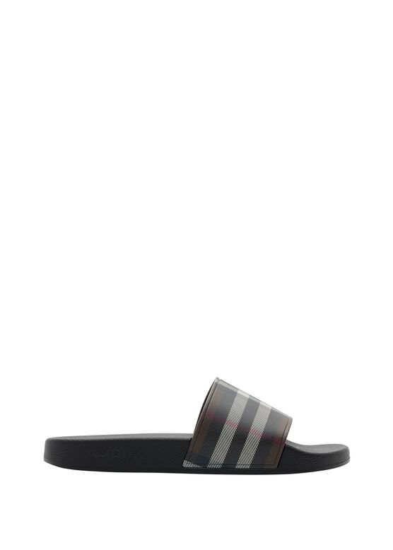Check Slides, , hi-res