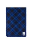 Wide Check Wool Silk Scarf