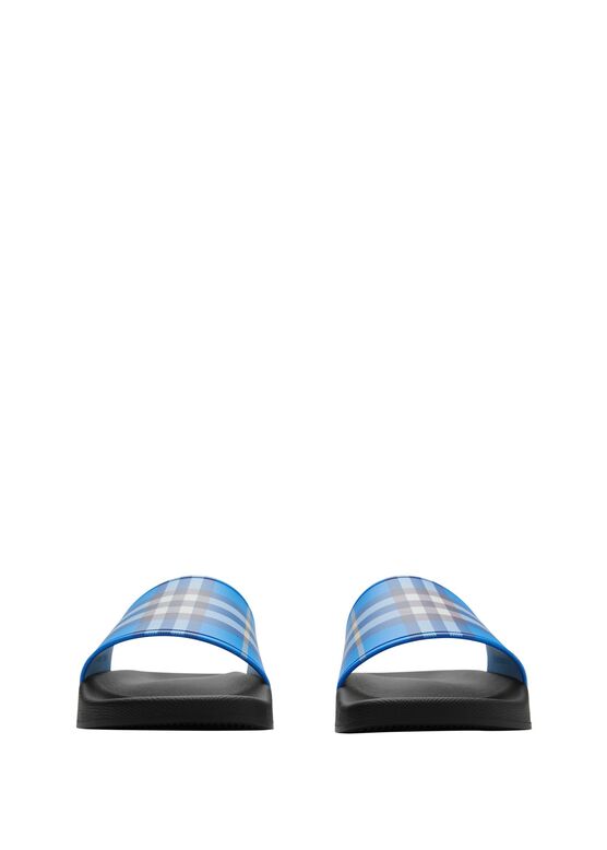 Check Slides, , hi-res