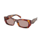 0PR B05S - Light Purple Brown