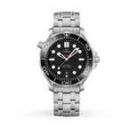 Seamaster Diver 300 Co-Axial Mens Watch